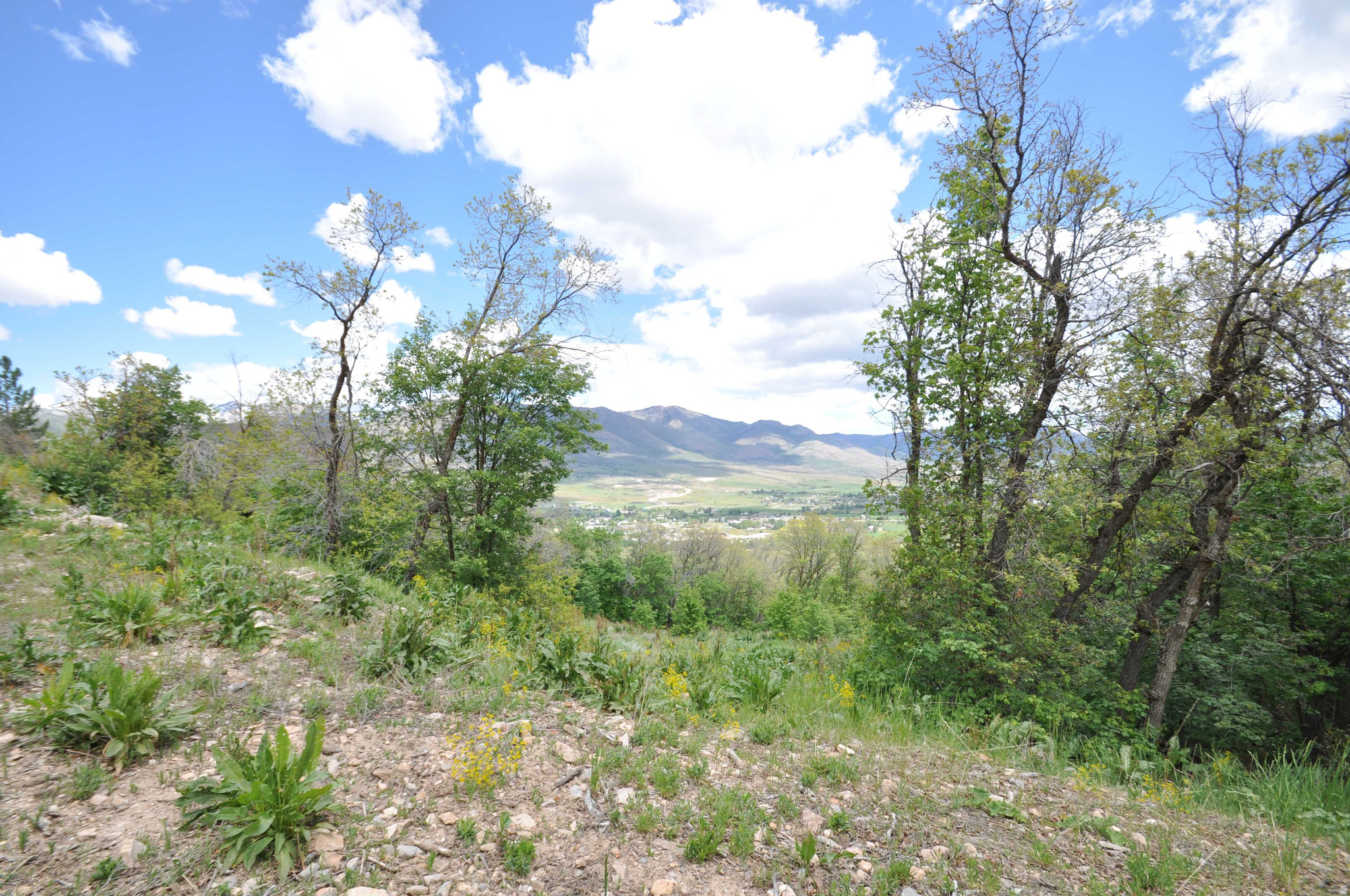 BIG SKY ESTATES - Land