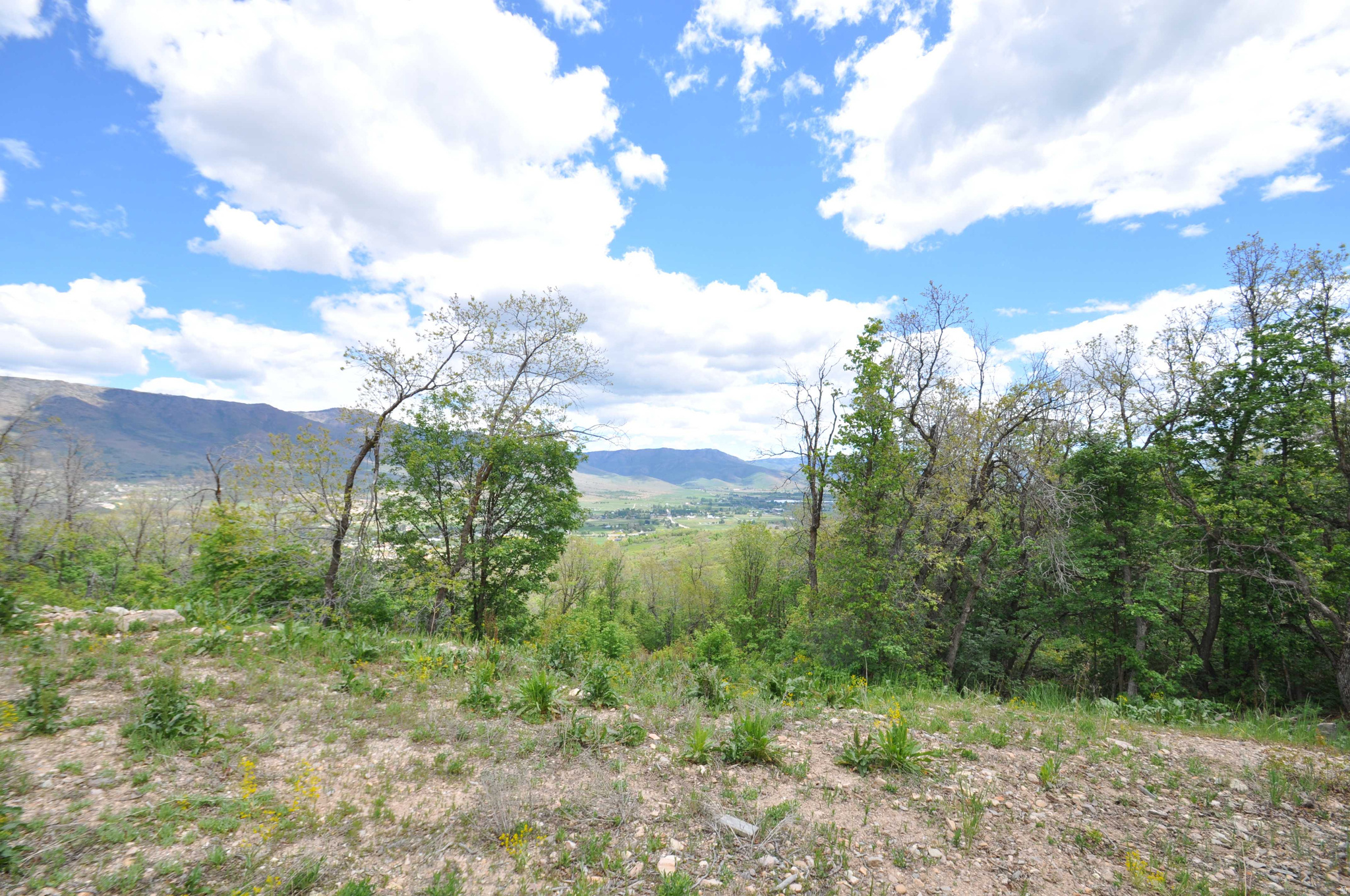 BIG SKY ESTATES - Land
