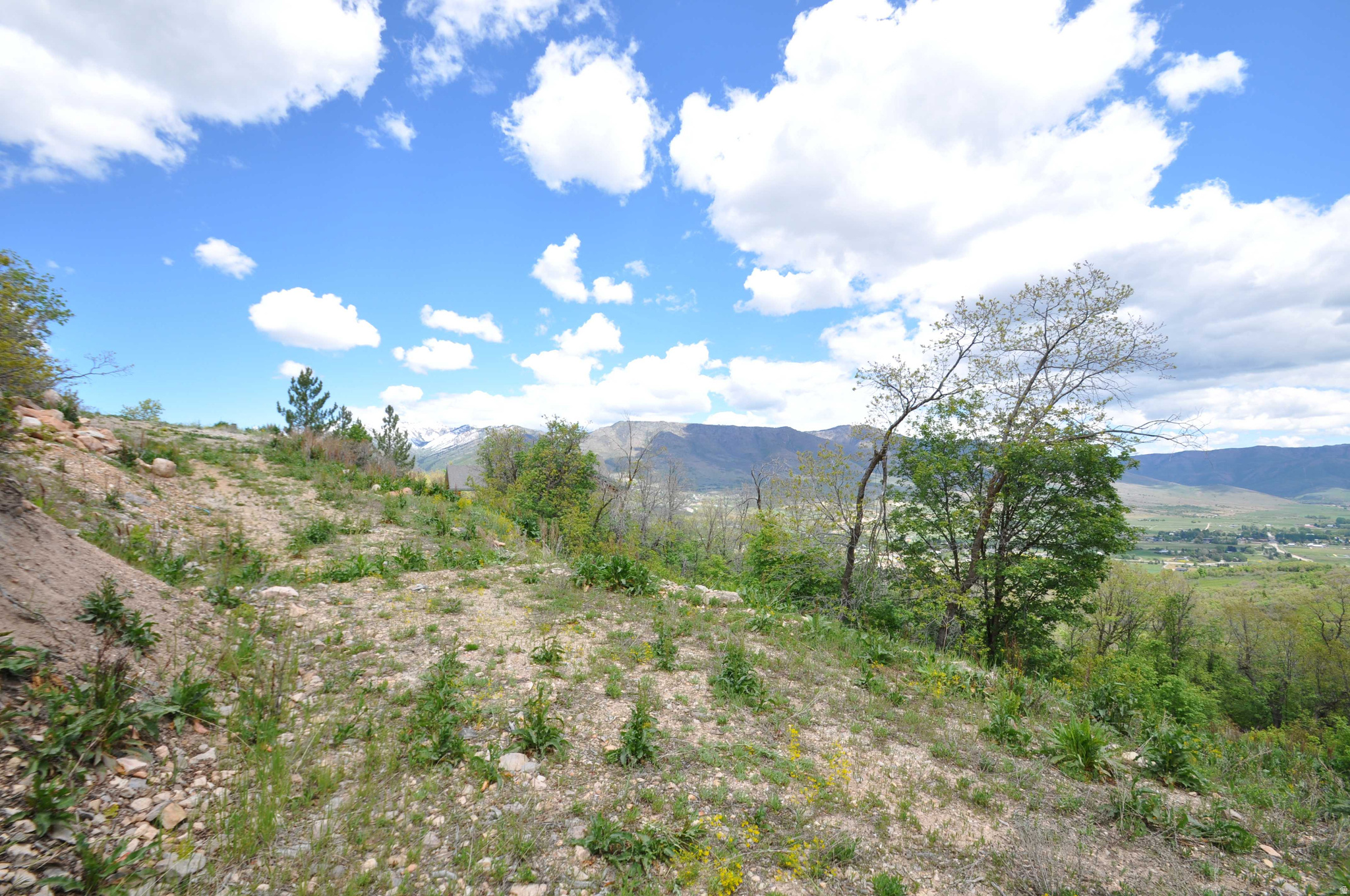 BIG SKY ESTATES - Land