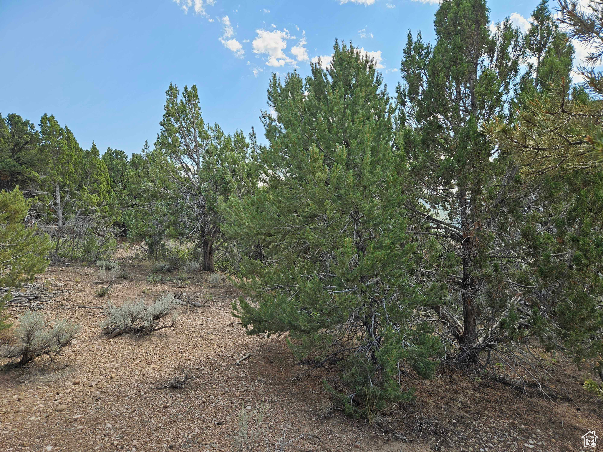 Land, Spring City, Utah image 3