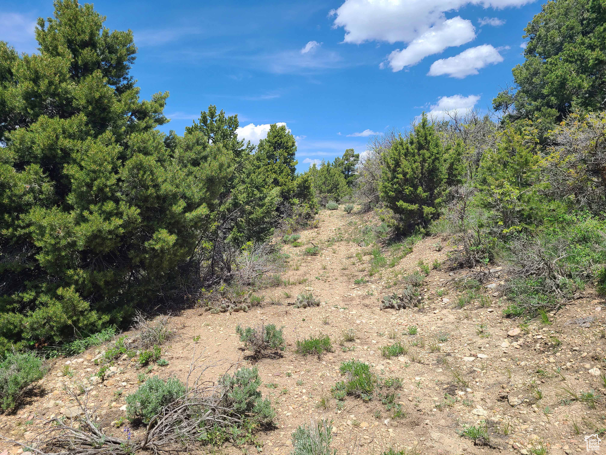 Land, Spring City, Utah image 2