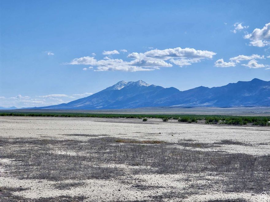 Here is a rare opportunity to acquire 160 acres on the western edge of the Great Salt Lake Desert that is easily accessible by road and adjacent to power. The property is located in Box Elder County in the valley between the Pilot Mountain Range to the west and the Little Pigeon Mountains to the east. Pilot Mountain Road runs nearby providing access to the property from the I-80 corridor to the south and from the UT-30 / NV-233 corridor to the north. Power poles run adjacent to the property and connect to a residence a few miles to the east. There are 640 acres of public land maintained by the Bureau of Land Management bordering the property on the east side. Look around for Elk, Mule Deer, Antelope, and Big Horn Sheep which all roam the area.  The property is zoned as mixed use, which includes agricultural, recreational, and residential uses. Possibilities include a small ranch for horses and cattle, hobby farm, RV or camping spot, ATV riding, stargazing, or bugout spot.