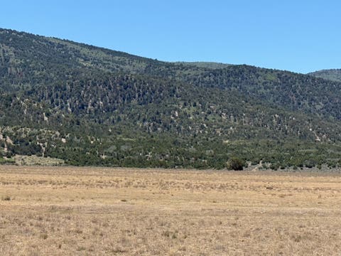 Vacant Land For Sale - #4<br/> Spring City, UT 84662