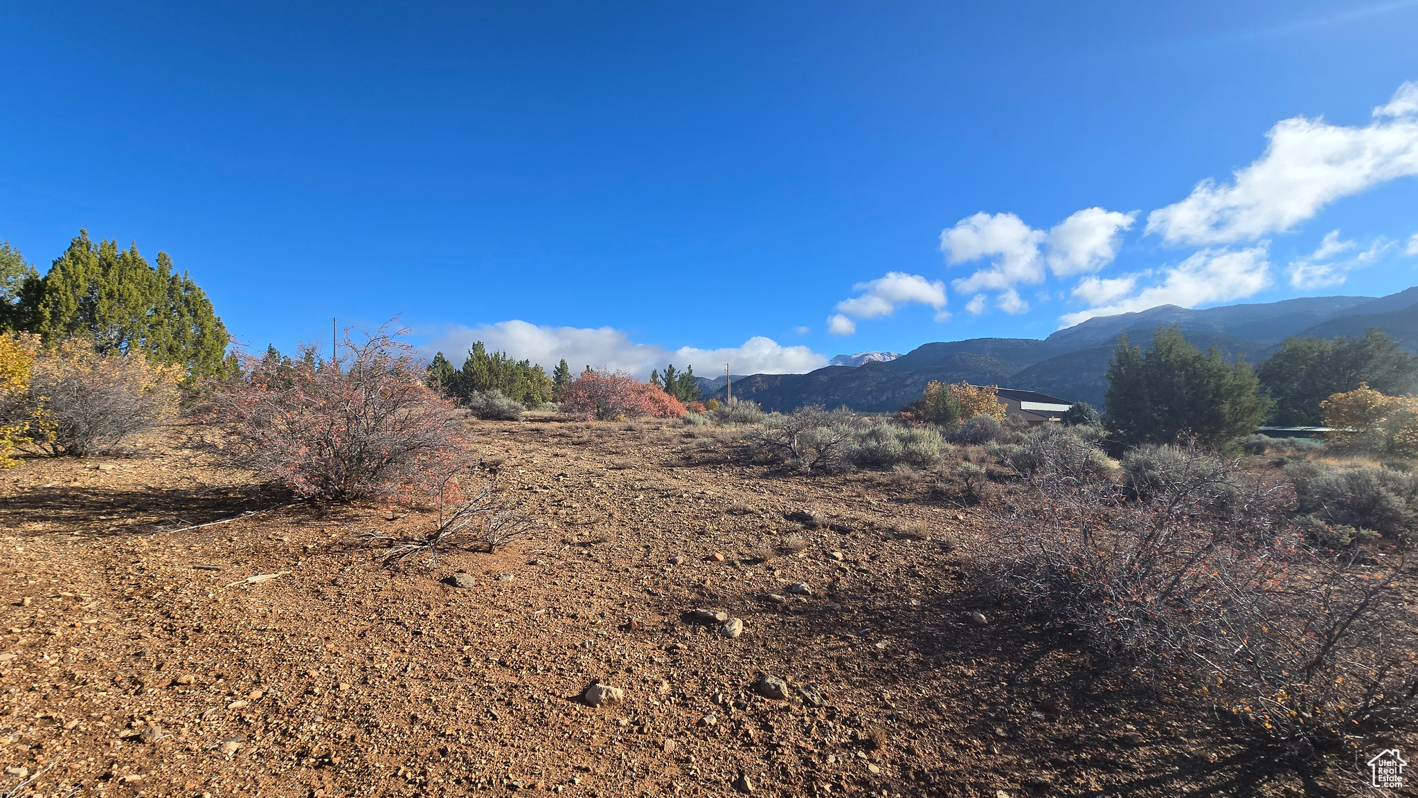 BLACKRIDGE RANCHES - Land