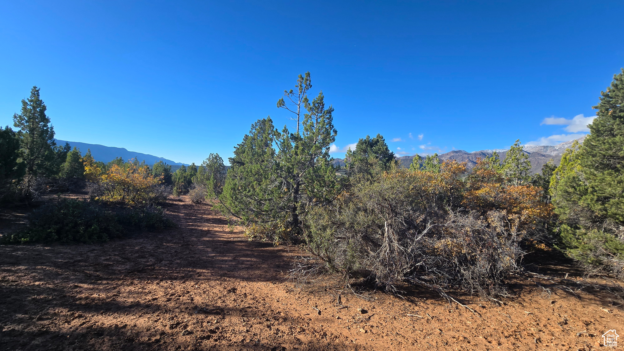 BLACKRIDGE RANCHES - Land