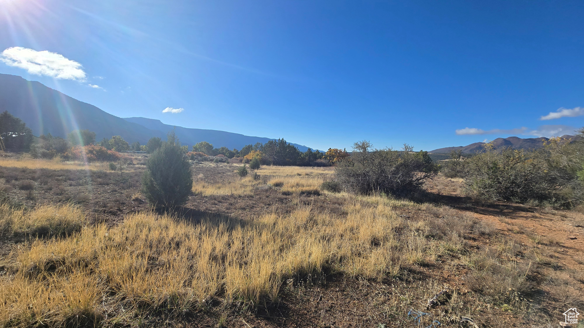 BLACKRIDGE RANCHES - Land