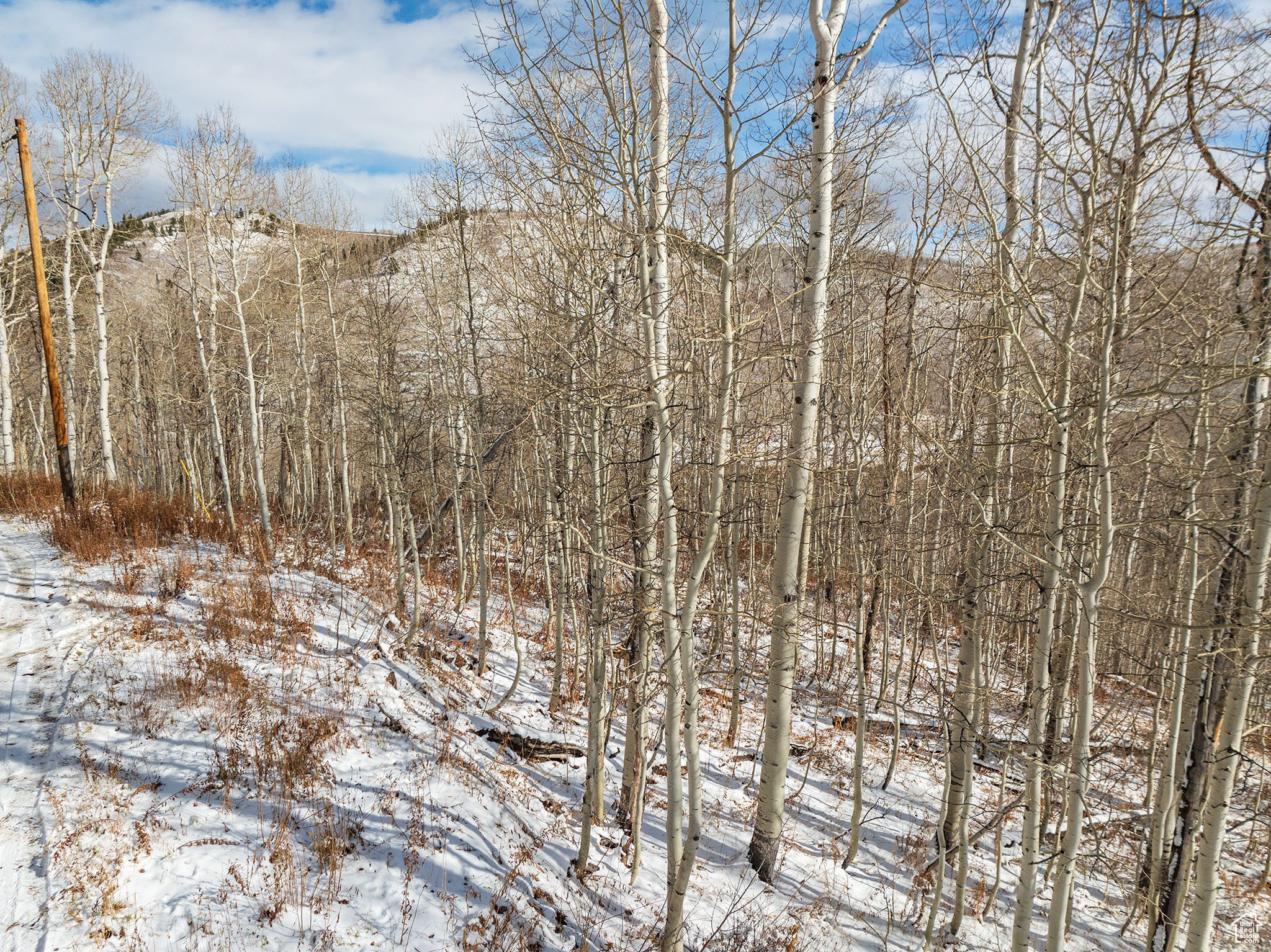 1665 W Marmot Ln #17, Midway, Utah image 14