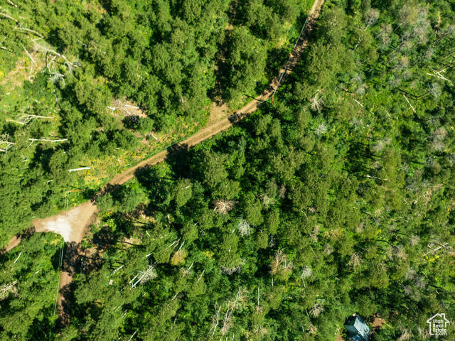 BRIGHTON ESTATES - Land