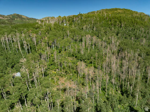 BRIGHTON ESTATES - Land