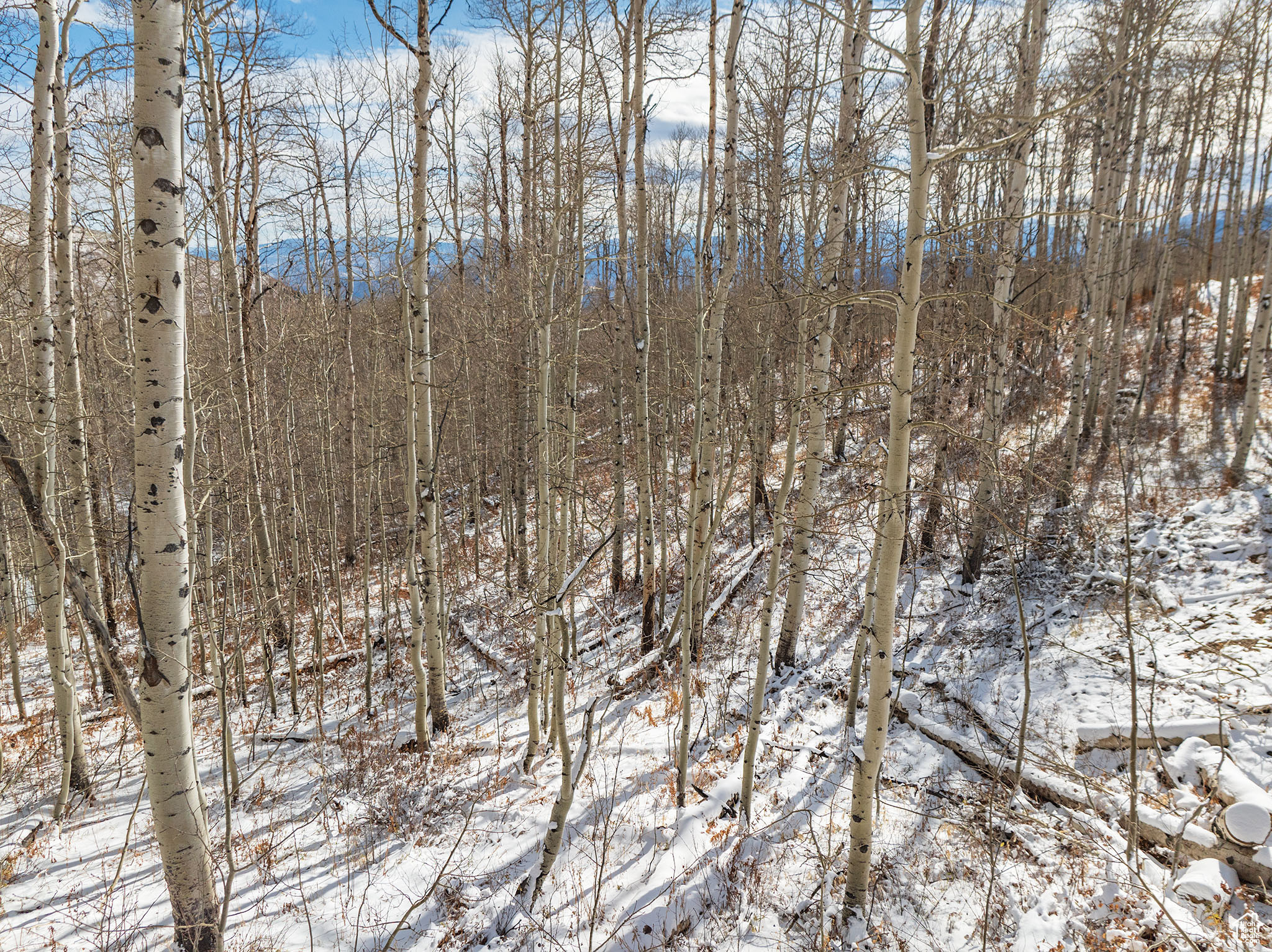 1665 W Marmot Ln #17, Midway, Utah image 15