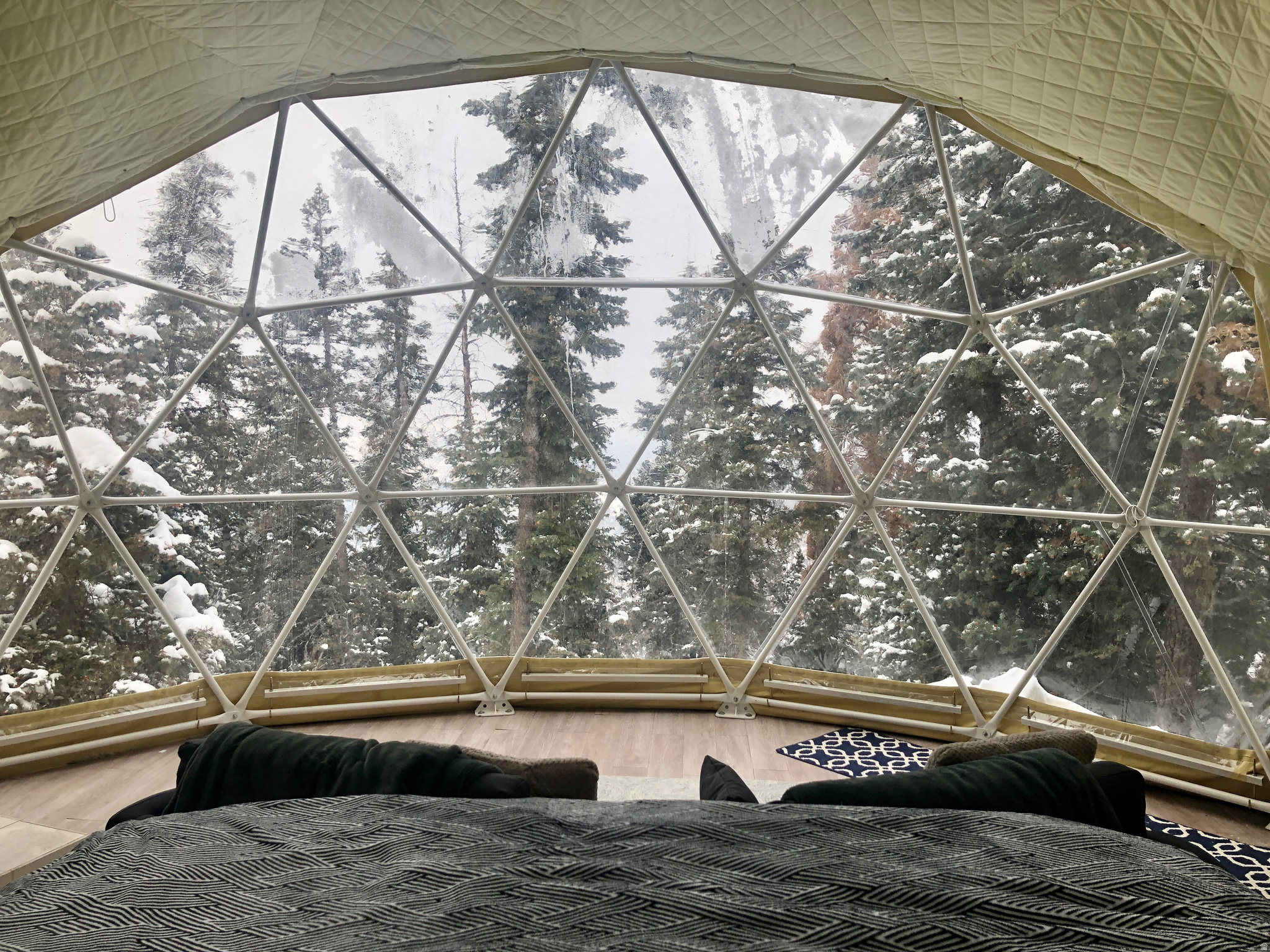 PINE RIDGE ESTATES - Land