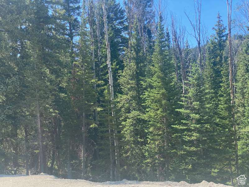 ARGYLE CANYON - Land