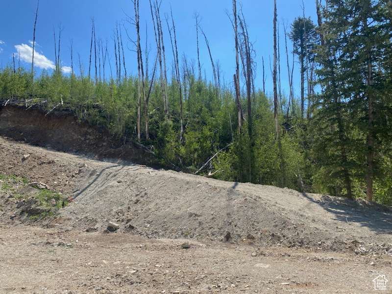 ARGYLE CANYON - Land