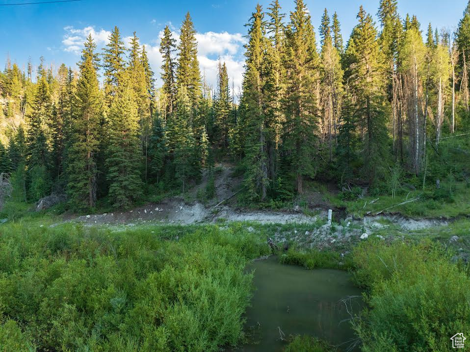 ARGYLE CANYON - Land