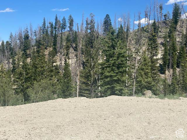 ARGYLE CANYON - Land