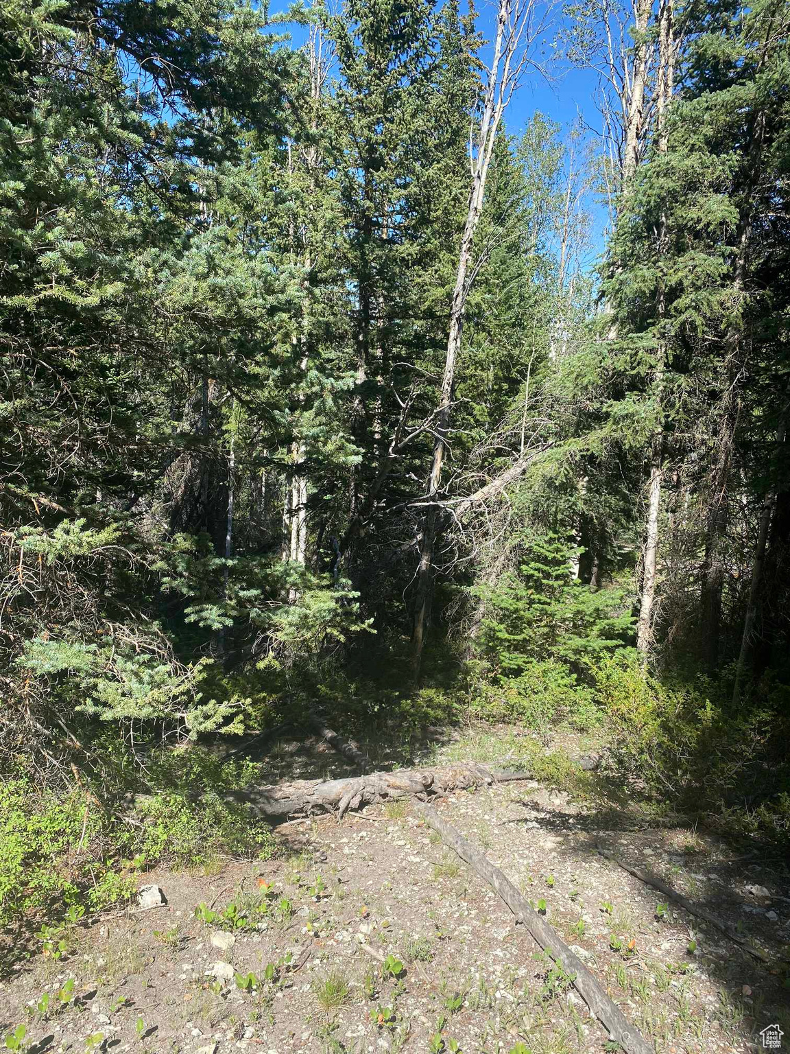 ARGYLE CANYON - Land