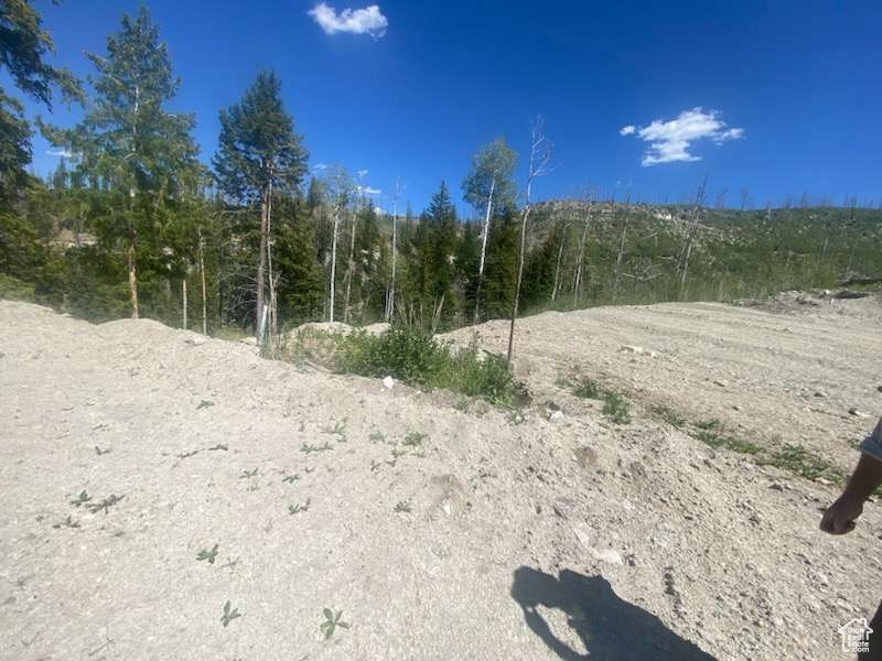 ARGYLE CANYON - Land