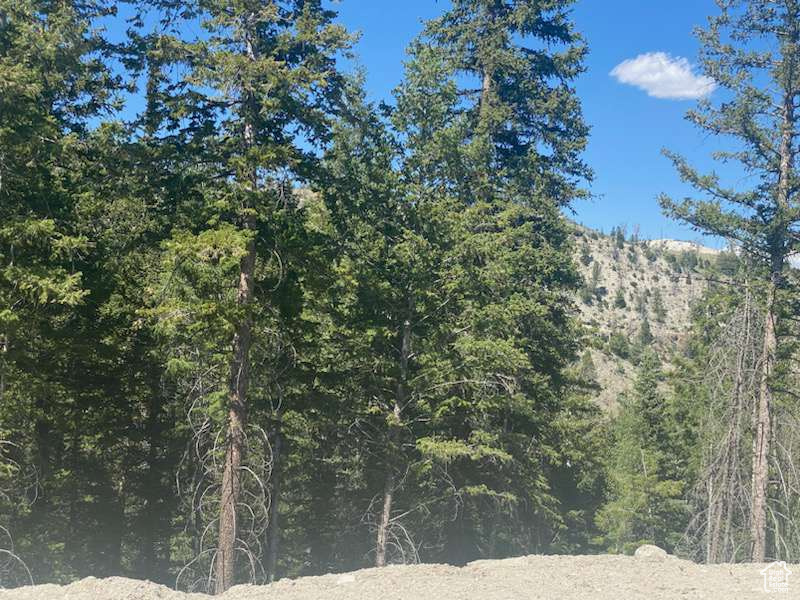 ARGYLE CANYON - Land