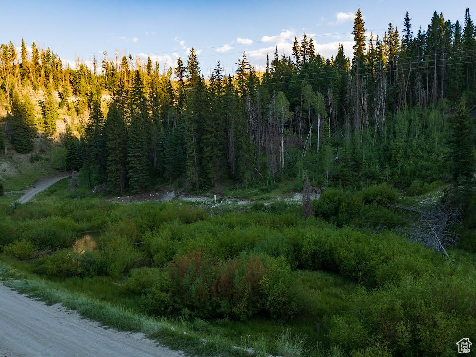 ARGYLE CANYON - Land