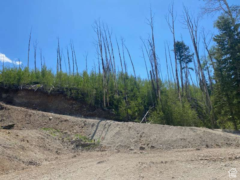 ARGYLE CANYON - Land