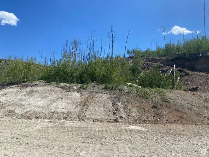 ARGYLE CANYON - Land