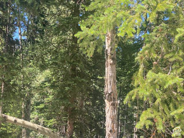 ARGYLE CANYON - Land