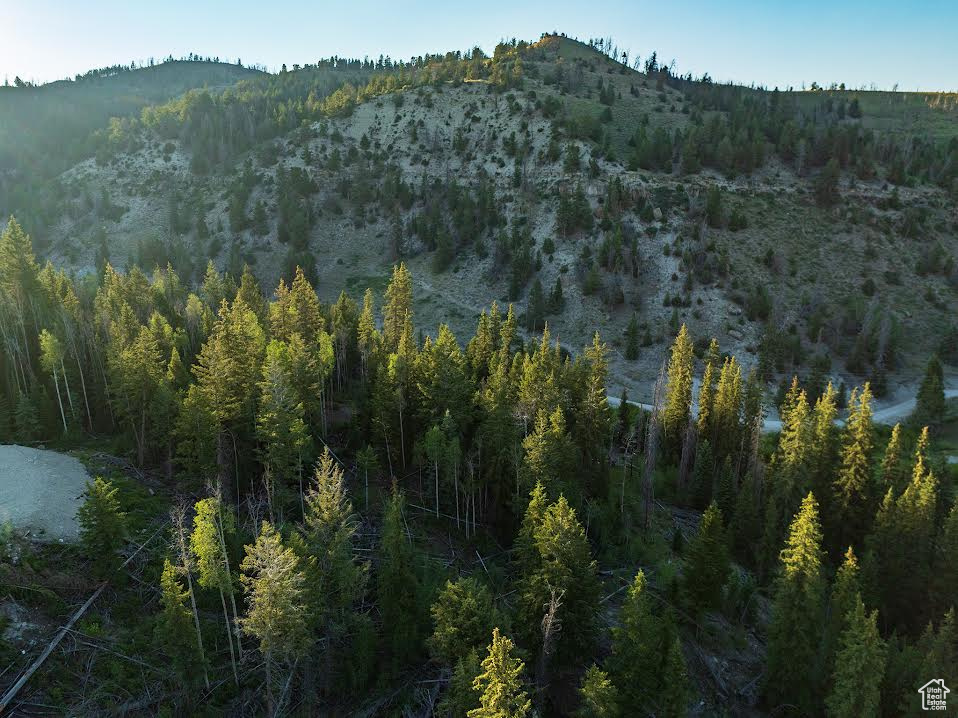 ARGYLE CANYON - Land