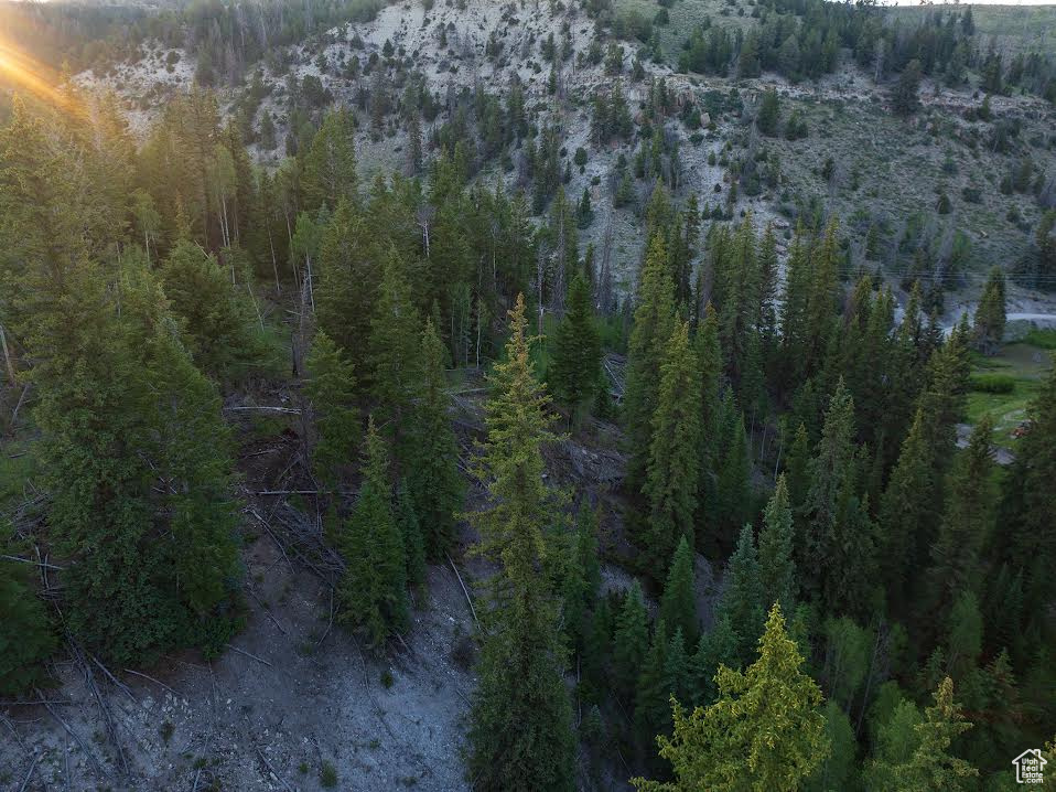 ARGYLE CANYON - Land