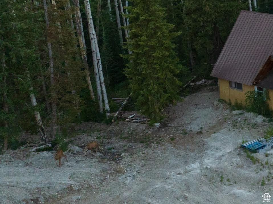 ARGYLE CANYON - Land