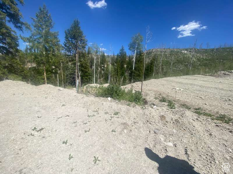 ARGYLE CANYON - Land