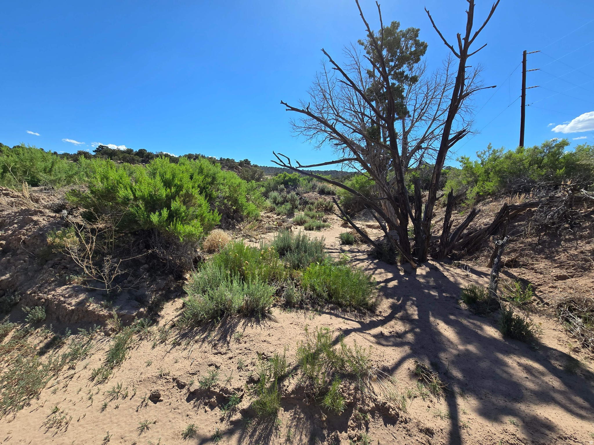 BUCKHORN MESA - Land