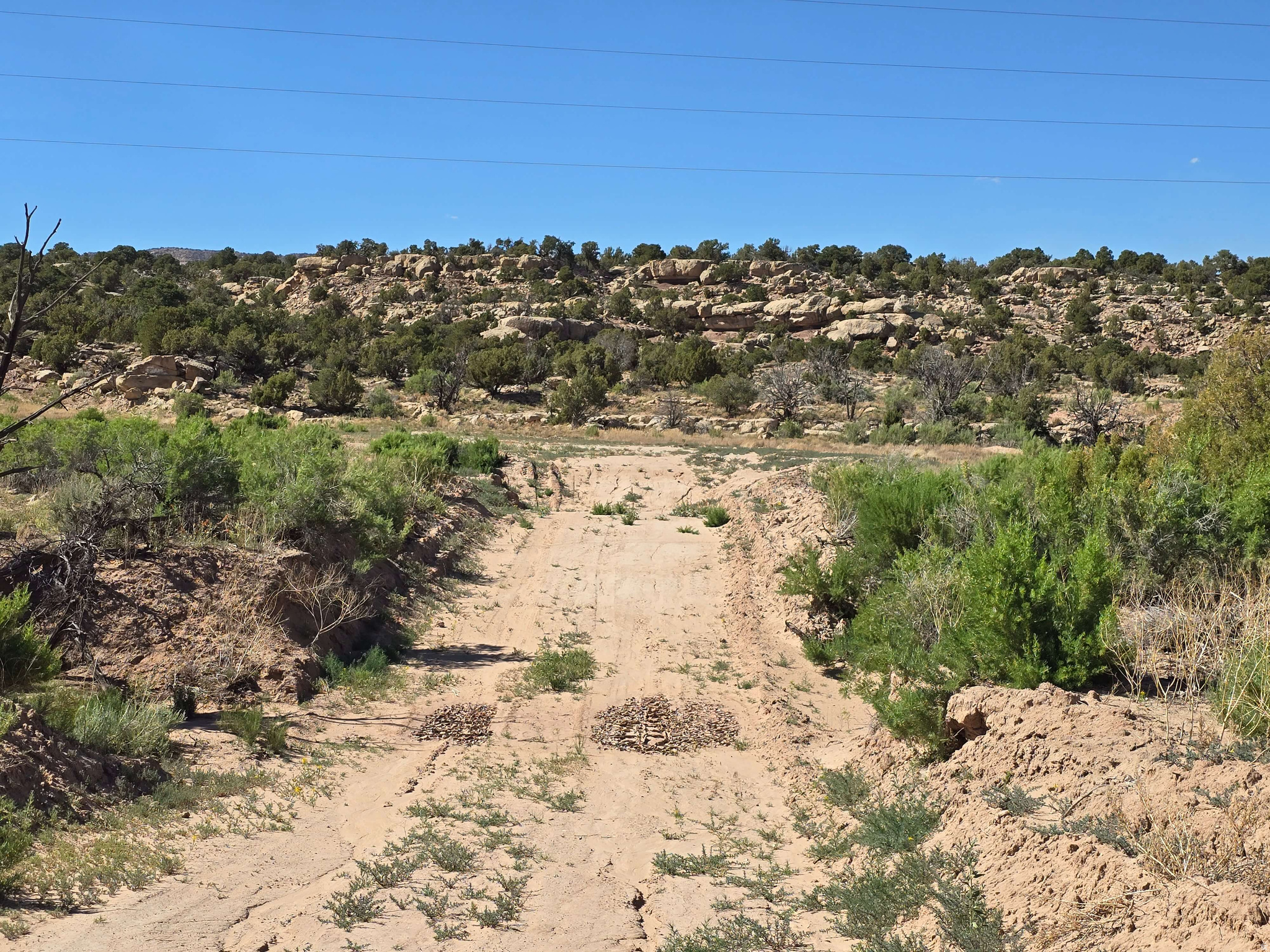 BUCKHORN MESA - Land