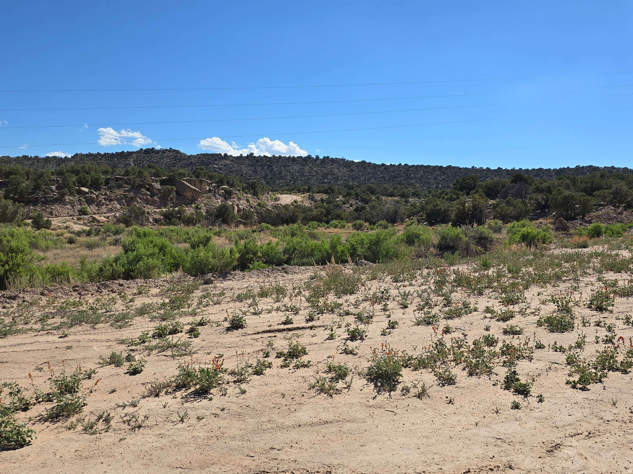 BUCKHORN MESA - Land