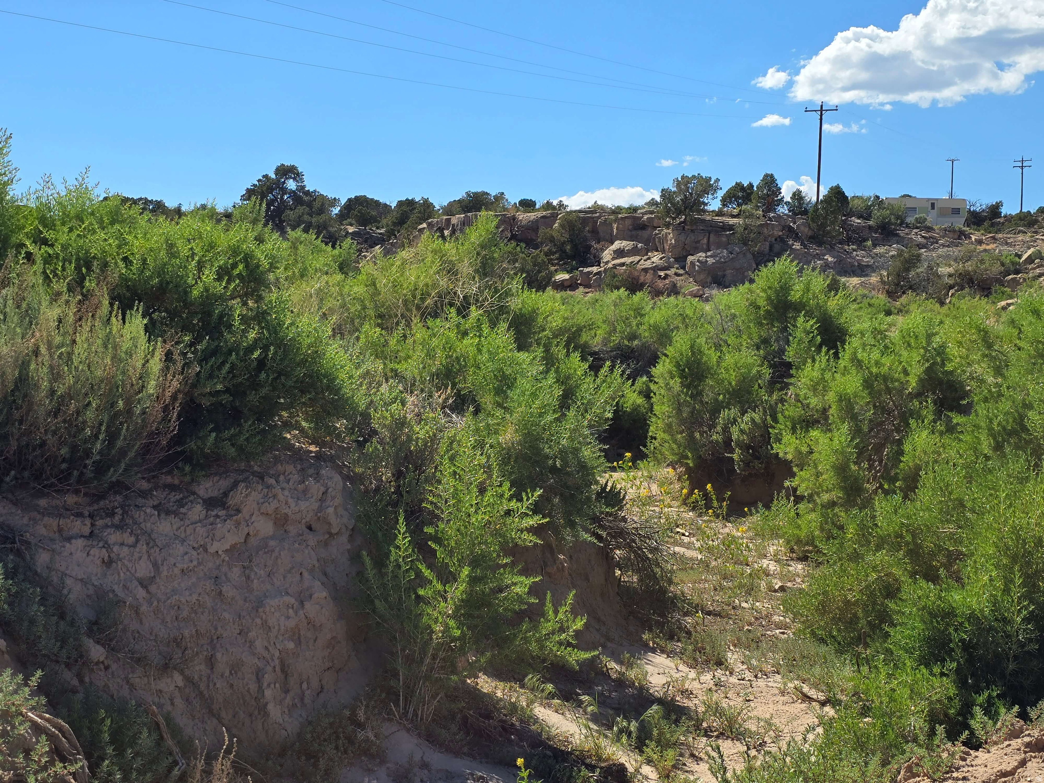 BUCKHORN MESA - Land