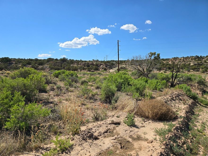 Discover your own slice of Utah beauty on this 5-acre parcel in the Starvation Mesa area, roughly 10 minutes from Starvation Reservoir. This unique property features a blend of open, usable land and rugged mountainside terrain, giving you privacy, natural rock formations, and stunning desert views.  Power is nearby (next lot over), and water rights are available to drill a private well. The area is ideal for recreation, camping, or future building, surrounded by miles of Utah's best off-road trails, canyons, and fishing spots.  Located about 15 minutes from Duchesne City, you'll enjoy the quiet of nature with amenities close by. Owner financing available through Mountains West Ranches.