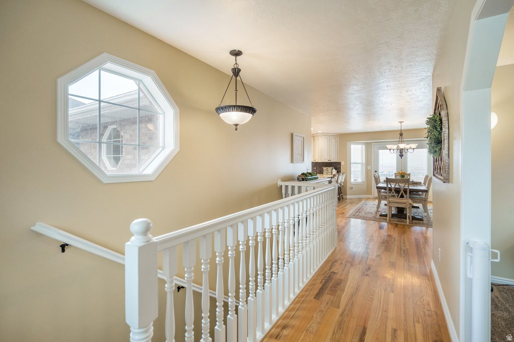 SUNNY CIRCLE - Residential