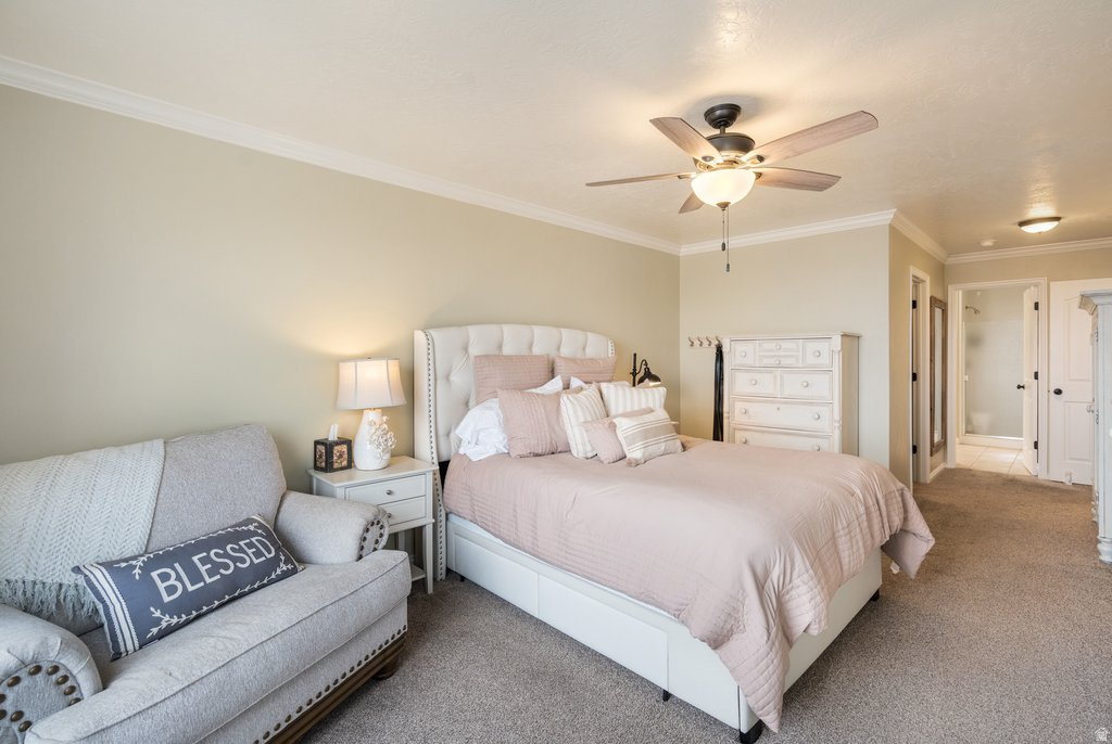 SUNNY CIRCLE - Residential