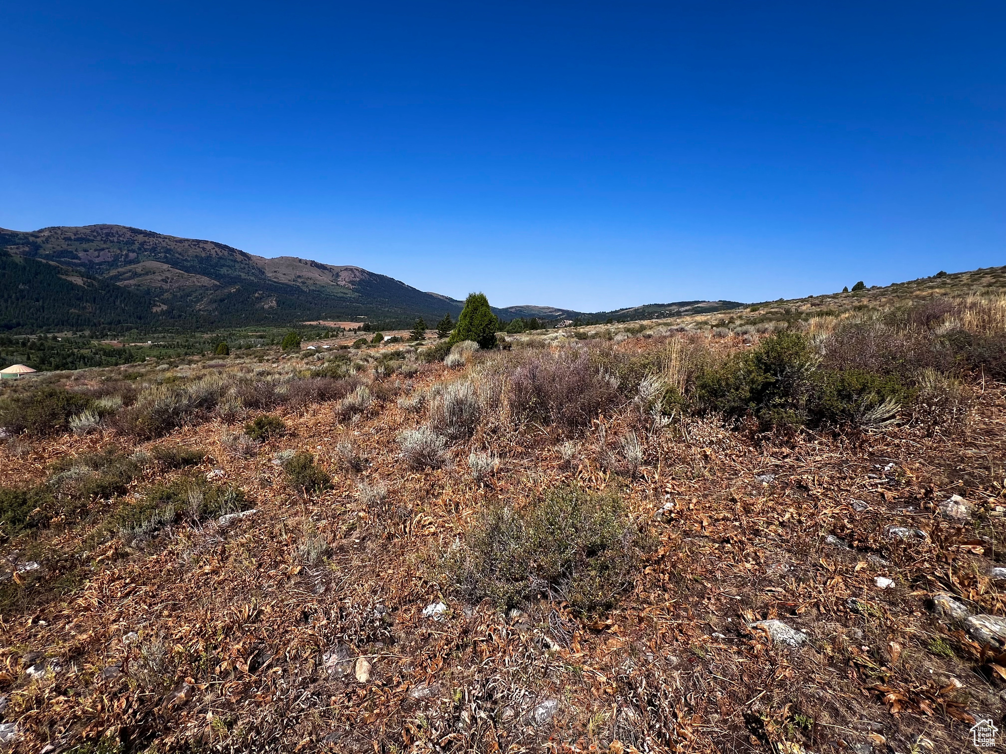 PEBBLE CREEK SUBDIVISION - Land