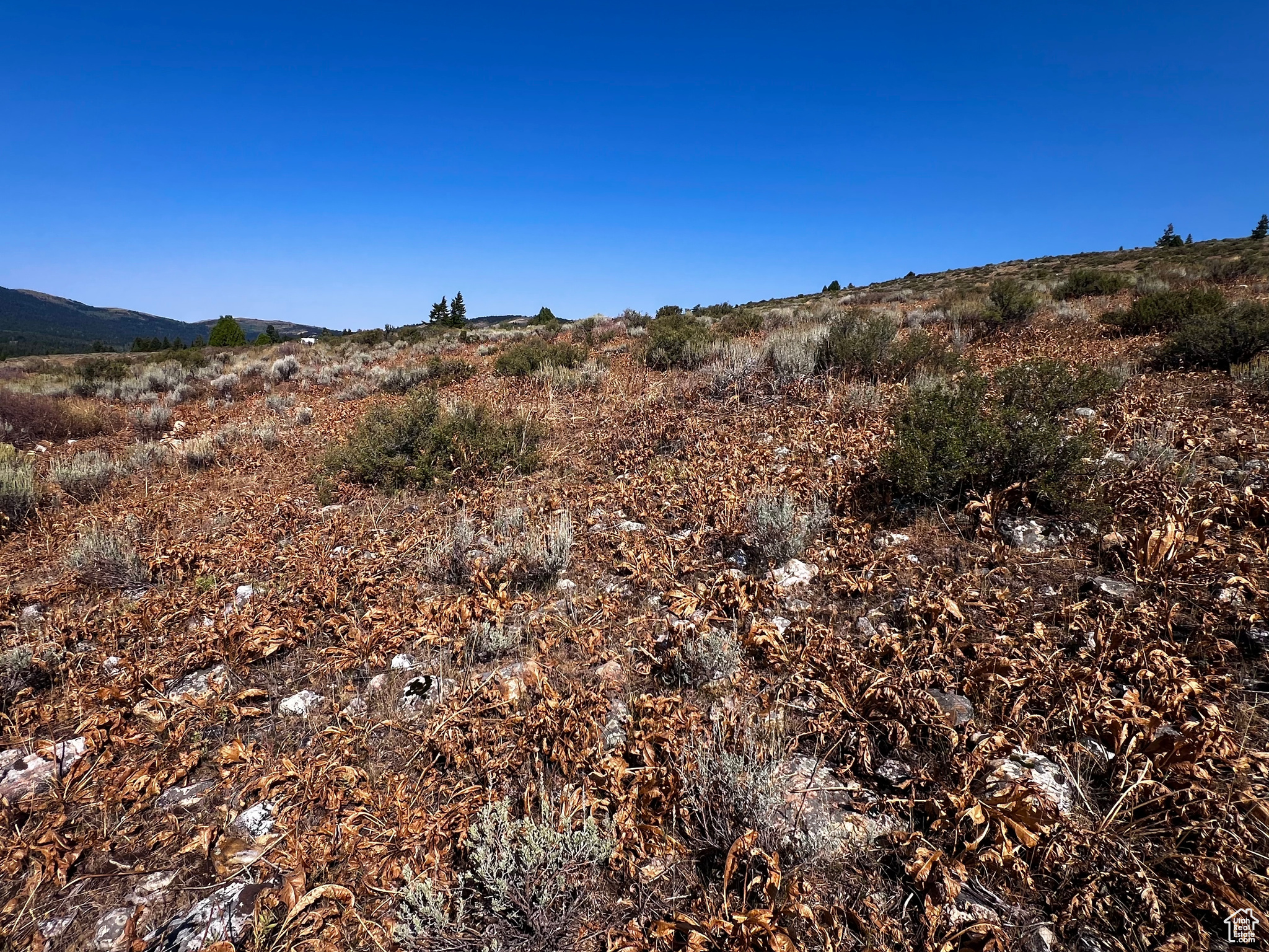 PEBBLE CREEK SUBDIVISION - Land