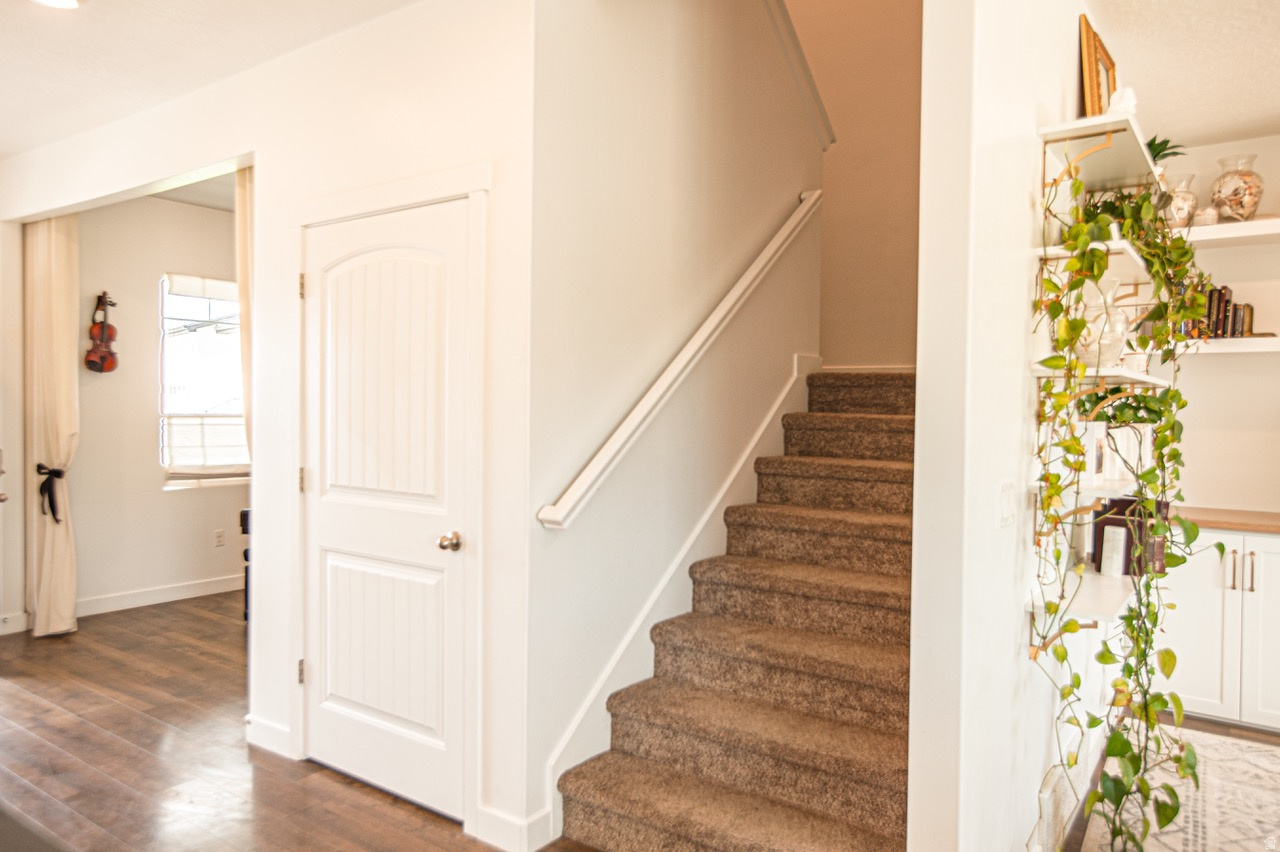 SPRINGSIDE MEADOWS - Residential