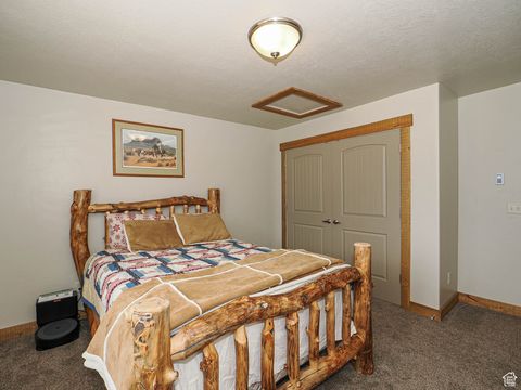 Tiny photo for 13 ASPEN COVE DR, Scofield, UT 84526 (MLS # 2114991)