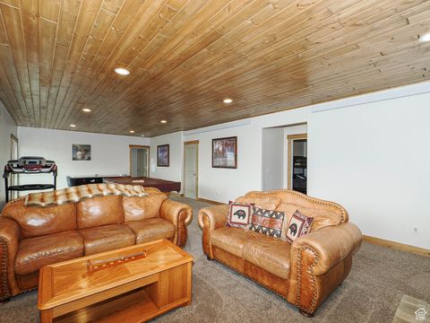 Tiny photo for 13 ASPEN COVE DR, Scofield, UT 84526 (MLS # 2114991)