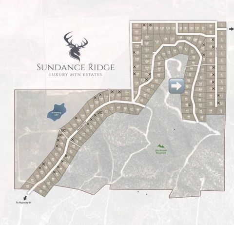 Tiny photo for 50178 BLACKHAWK MOUNTAIN ESTS #45, Indianola, UT 84629 (MLS # 2132145)