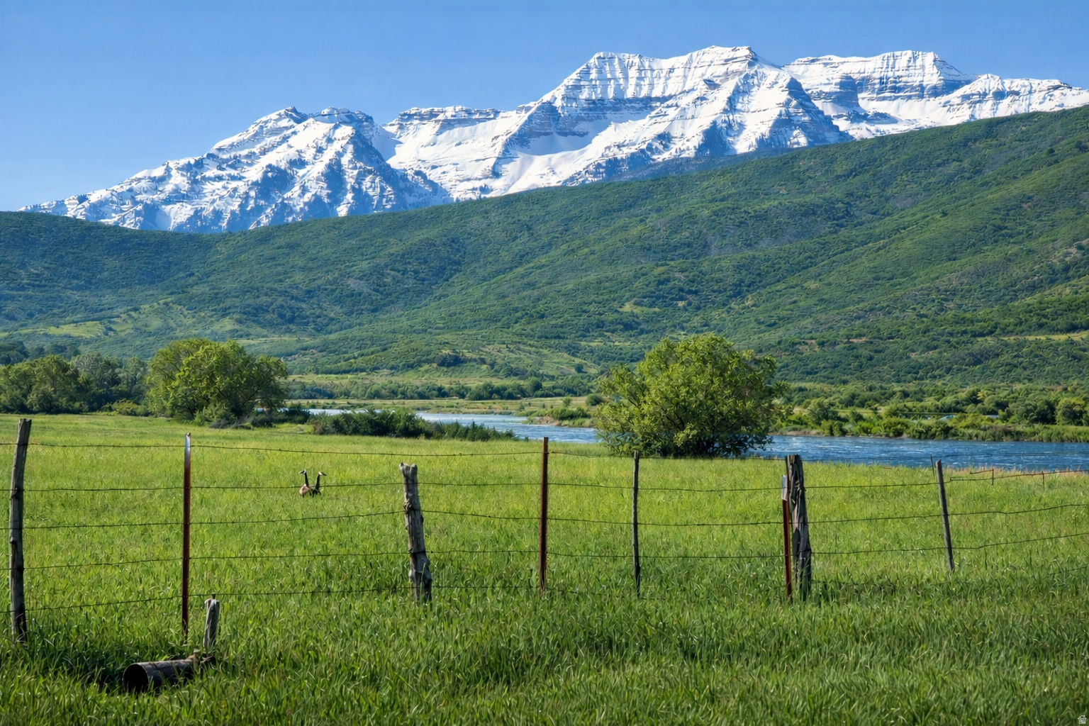 WINTERTON FARMS - Land