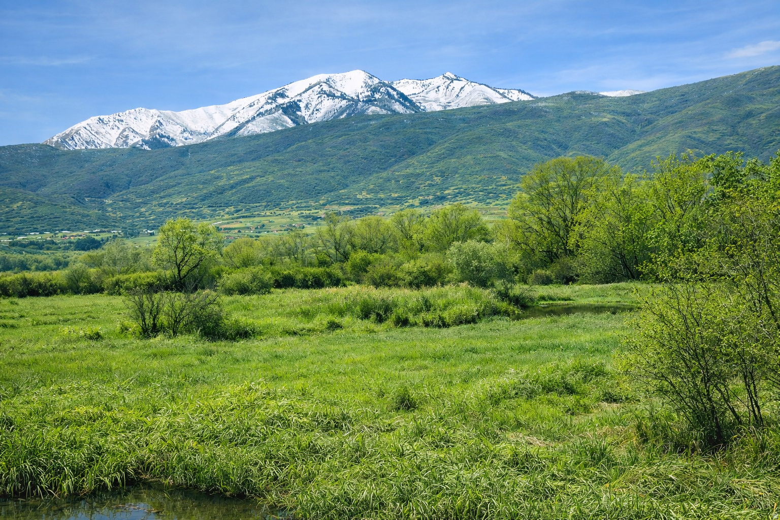 WINTERTON FARMS - Land