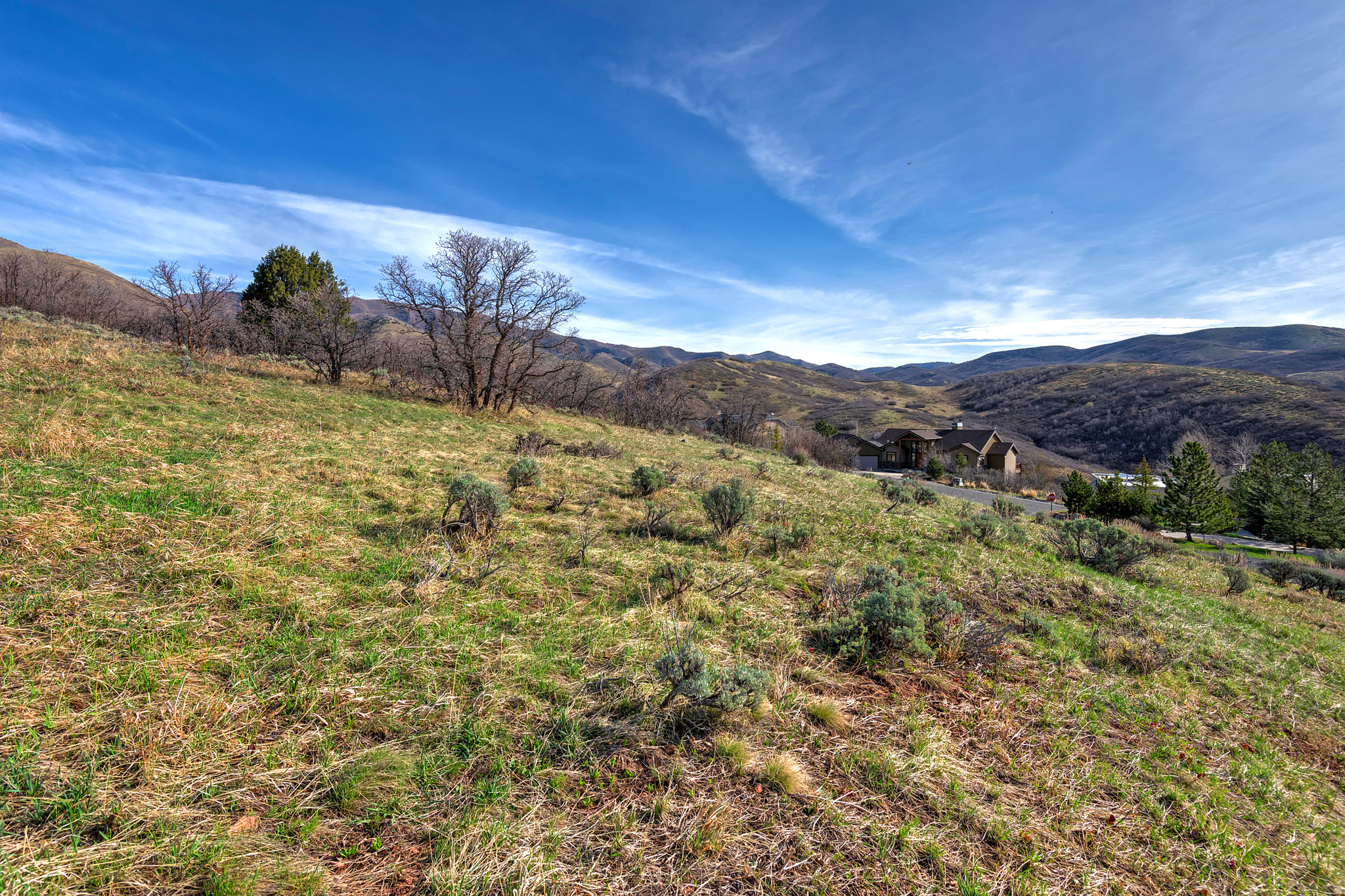 EMIGRATION OAKS 6 - Land