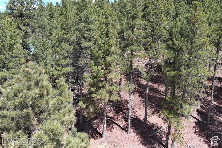 PONDEROSA VILLA SUBDIVISION - Land