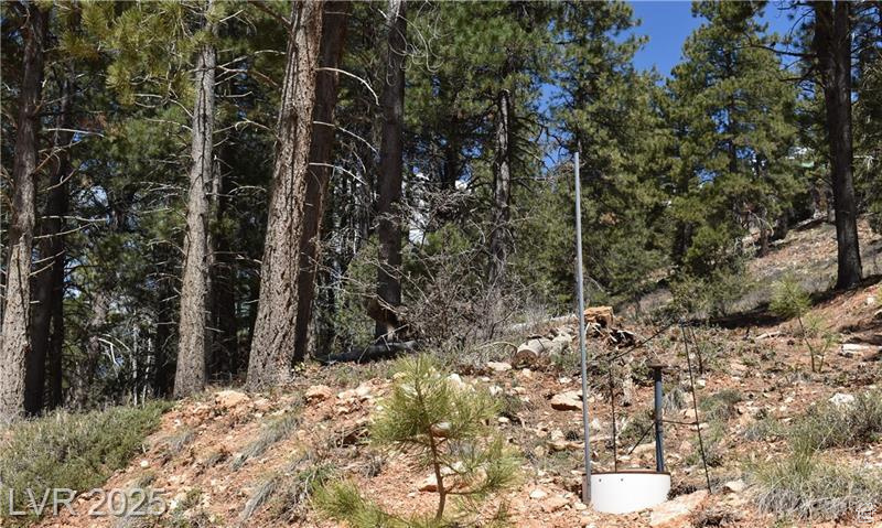 PONDEROSA VILLA SUBDIVISION - Land