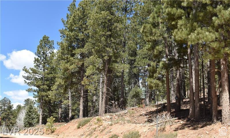 PONDEROSA VILLA SUBDIVISION - Land