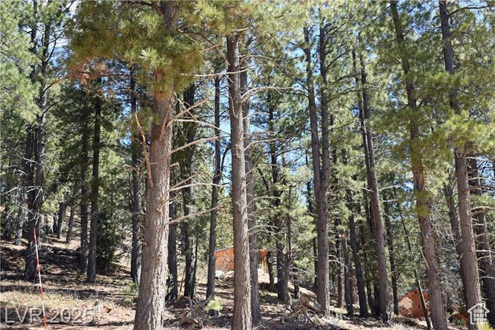 PONDEROSA VILLA SUBDIVISION - Land